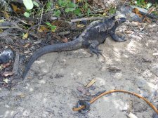 Ecuador - Galapagos