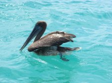 Ecuador - Galapagos