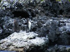 Ecuador - Galapagos