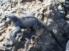 Ecuador - Galapagos