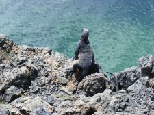 Ecuador - Galapagos