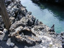 Ecuador - Galapagos