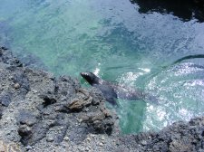 Ecuador - Galapagos