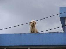 Ecuador